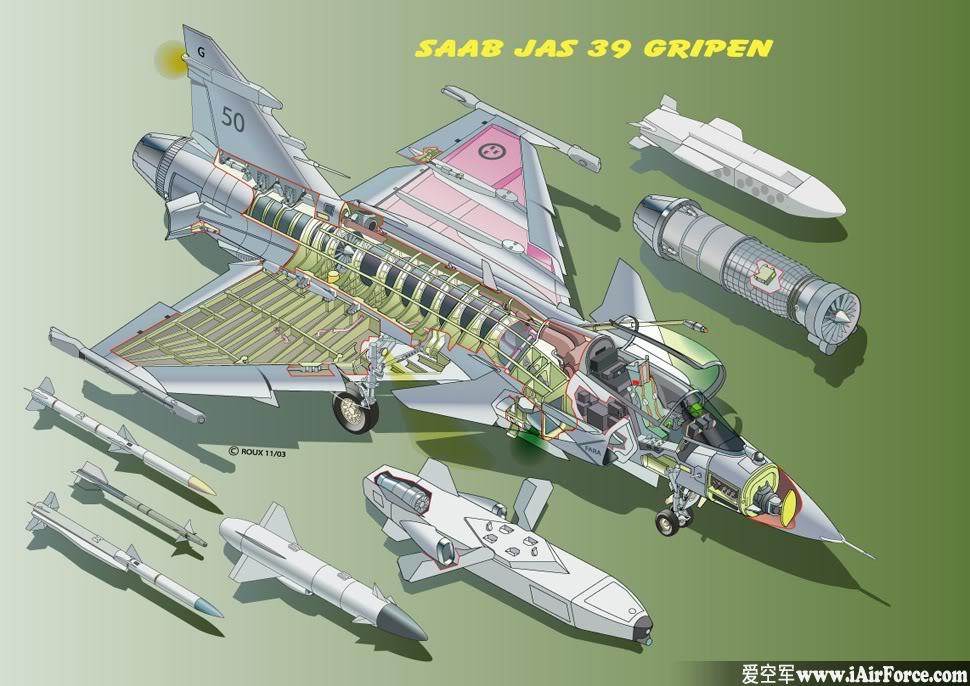 JAS-39 鹰狮 立体剖视图