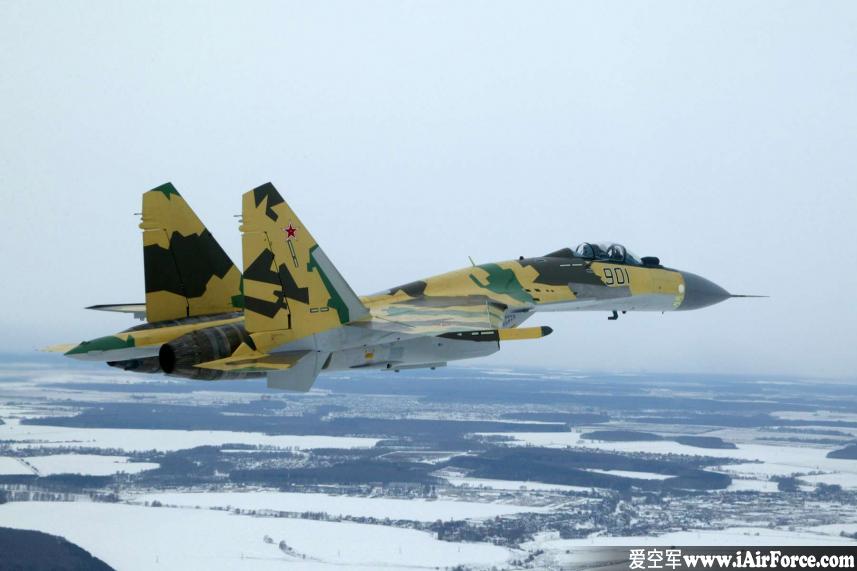 Su-35 低空飞行穿越白雪覆